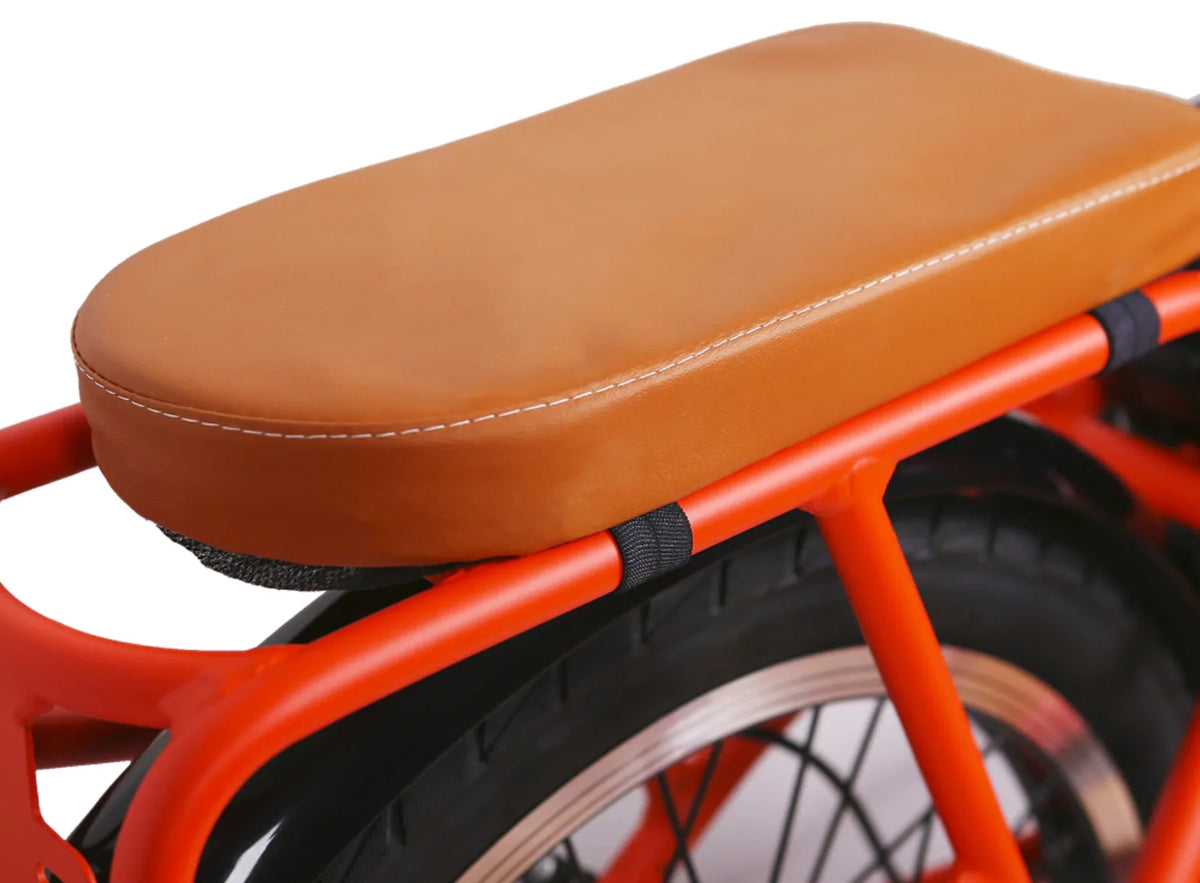 20" 250W Pony City Cargo Electric Bike