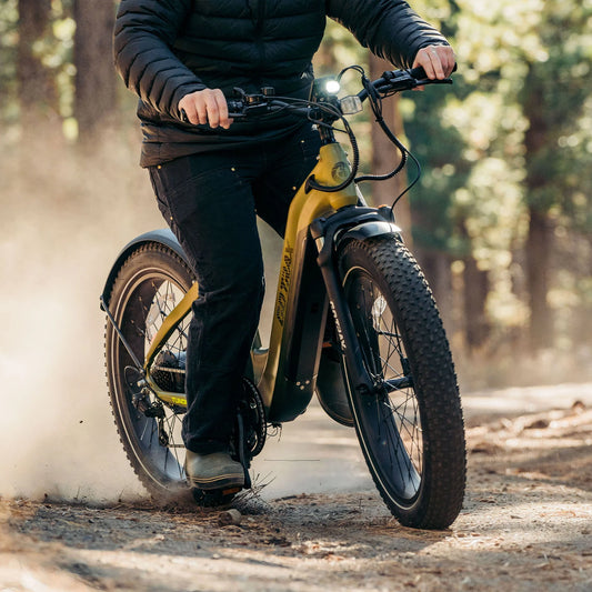 Tundra Fat Tire Electric Bike