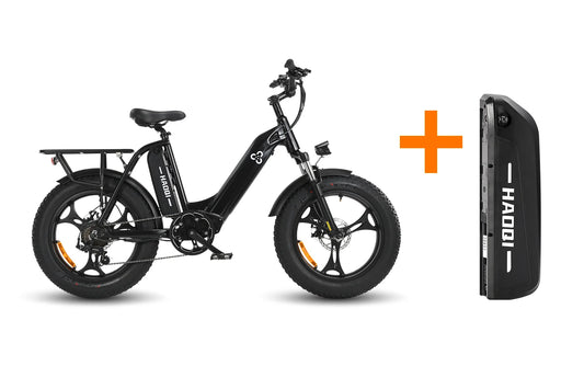 HAOQI Antelope Cargo Electric Bike