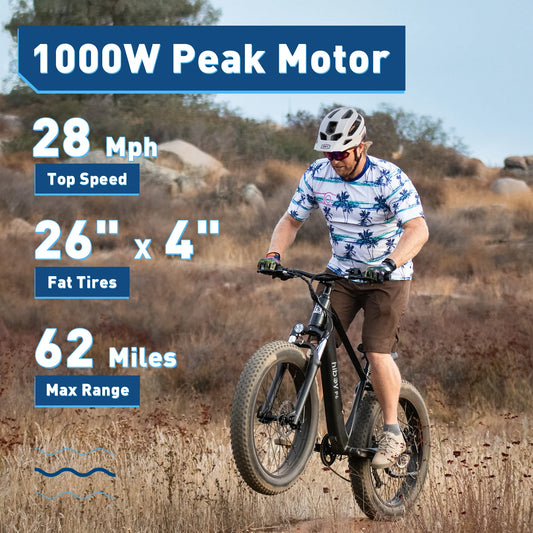P6 Fat Tire Electric Bike