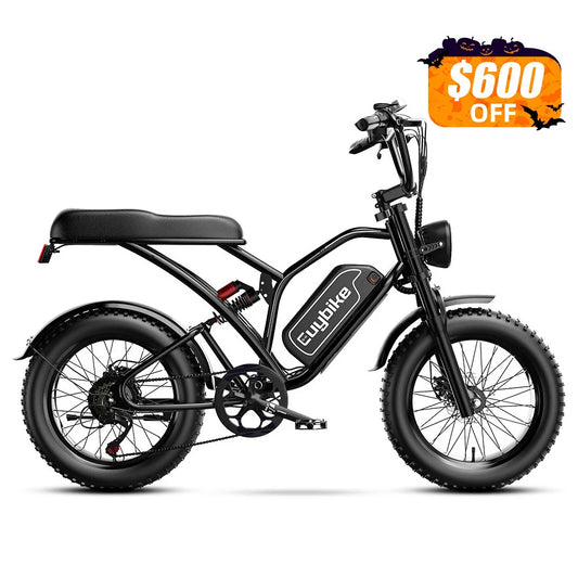 S4 Long Range Moped-Style Electric Bike
