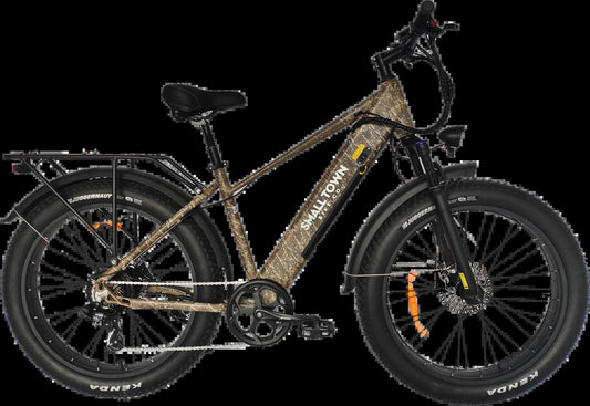 Fat Tire Electric Bike
