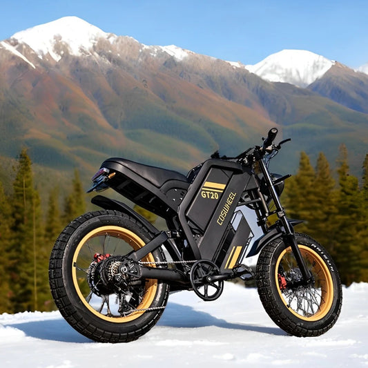 Electric Bike for Adult 2000W 60V Off-Road Motorcycle Mountain Bikes 20Inch Electric Bike Fatbike Motorcycles E-Bike